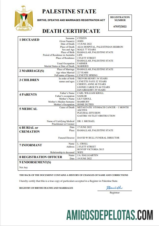 Realista modelo Word e PDF de certidão de óbito de registro vital da Palestina